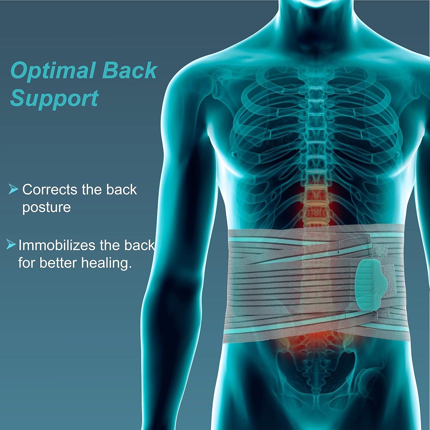 TYNOR Lumbo Sacral Belt FREE SIZE